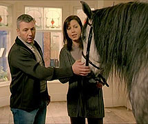 HSBC 'Horse'